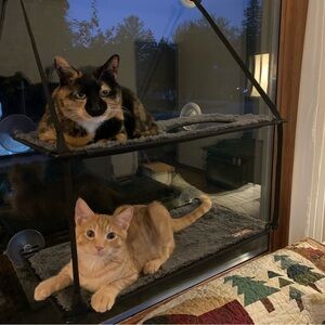 Meet your Posher, Chad